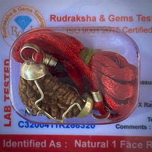 Load image into Gallery viewer, Ek Mukhi Nepali Rudraksha Original Certified